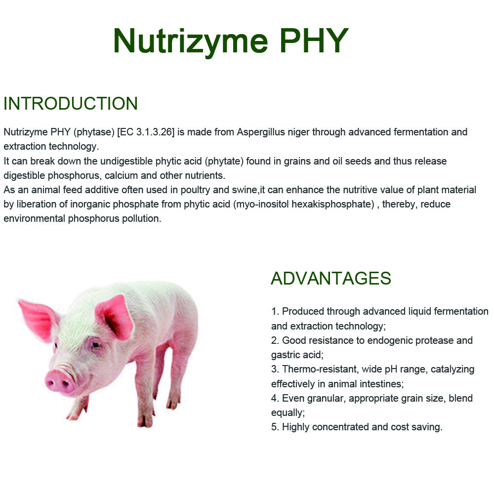 phytase المقاومة للحرارة للتغذية