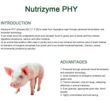 phytase ทนความร้อนสำหรับอาหารสัตว์