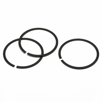 Black Spring Steel Snap Rings Retaining Ring