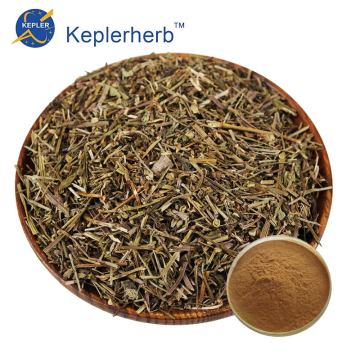 Scutellaria Barbata Extract Powder