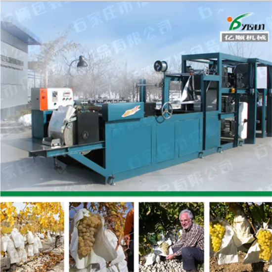 Table grape growing paper bag machinery YSG-16