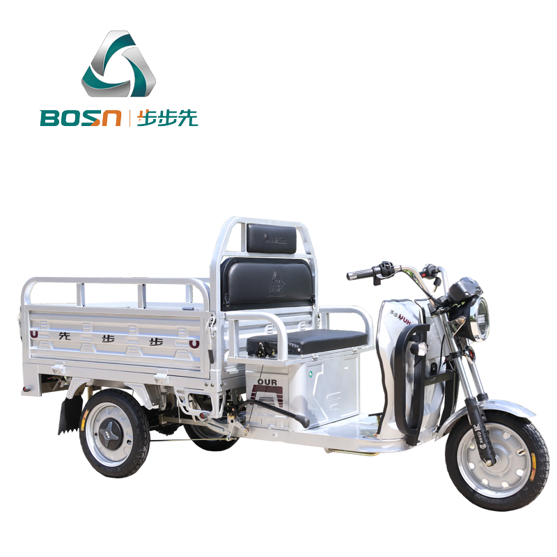 دراجة ثلاثية العجلات كهربائية للركاب مع صندوق شحن صغير