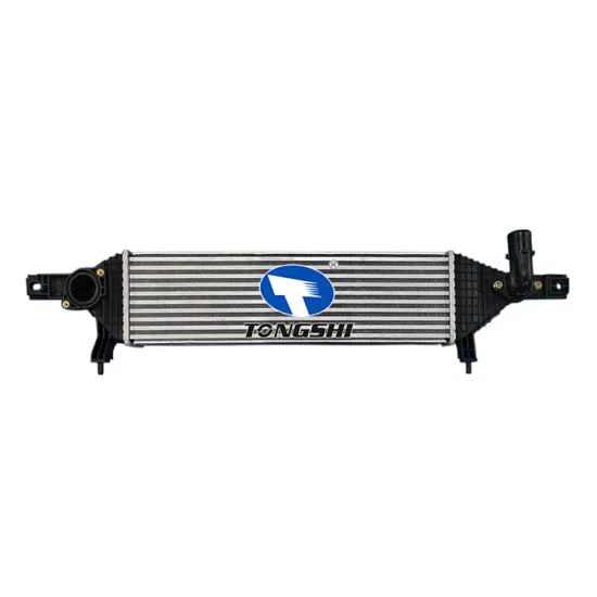 Car Intercooler For BMW 2 Active Tourer 2018 F45 13-20 OEM 17517617597