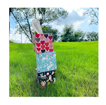 Upright Cube Boxed Format Cube Box Facial Tissue