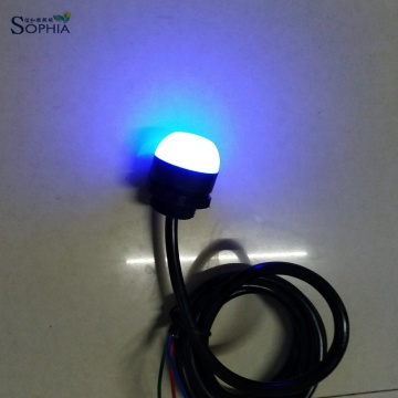 Sophia New 30mm Multi Color LED Signal Beacon