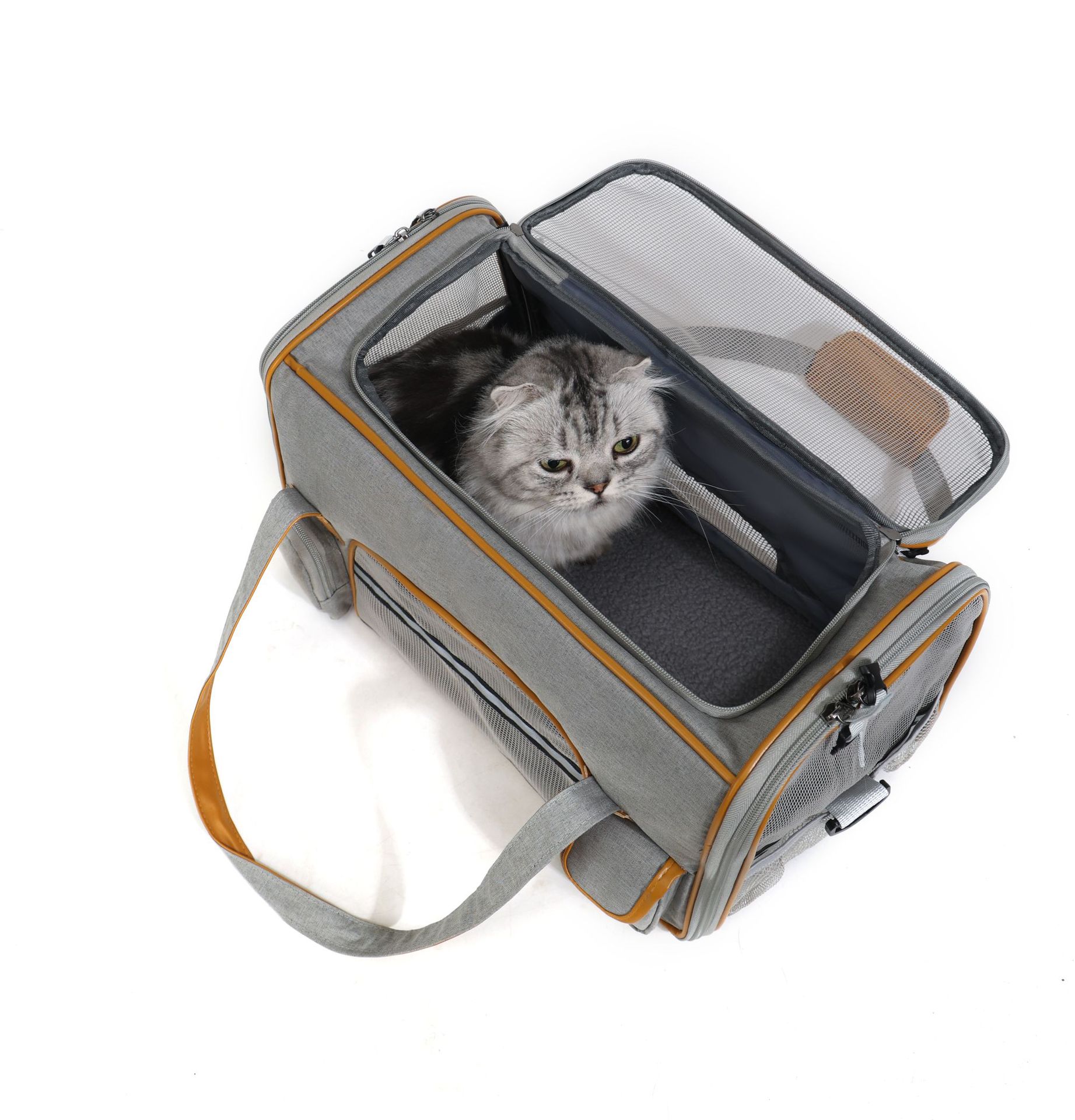 043-X-PET-3