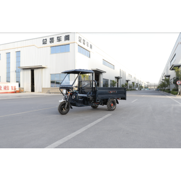Sunshade canopy cargo tricycle