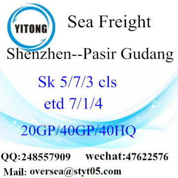 Shenzhen porto mare che spediscono a Pasir Gudang