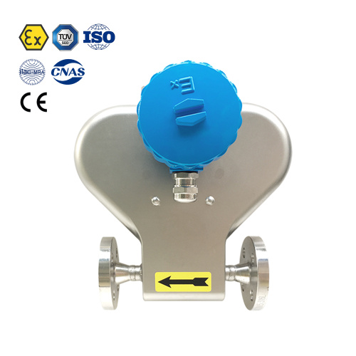 DN03 Coriolis Mass Flowmeter