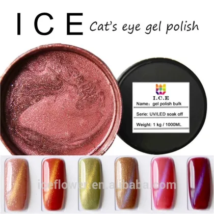 Hot Sale Nail Gel Polish 3D UV Gel cat eye nail vanish