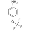 4- (Trifluorometoksy) anilina CAS 461-82-5