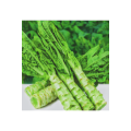Wholesale Organic Wild Lettuce Powder Extract