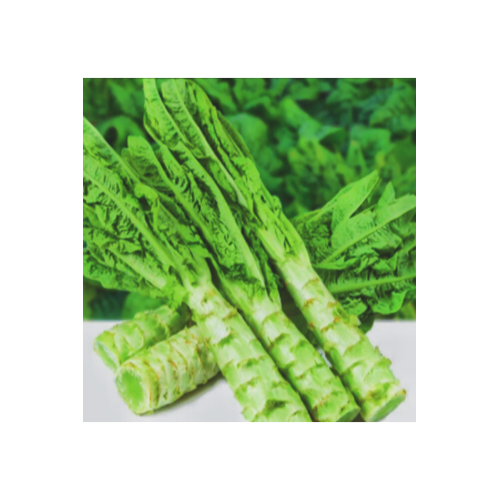 Wholesale Organic Wild Lettuce Powder Extract