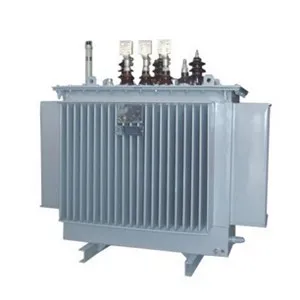 11kv Oil Immersed Sealed Tanked Distribution Transformer