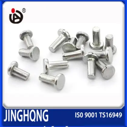 High Quality Non-Standard Flat Head Solid Rivet                        
                                                Quality Choice