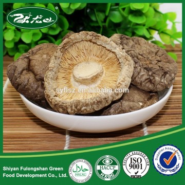 Chinese Rare Edible Abalone mushroom and natural dried shiitake mushrooms
