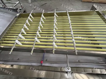 Date Palm Processing: Red Dates Grading Machine