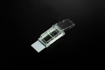 Cell Culture Slide
