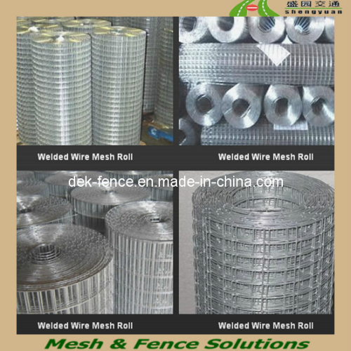 Welded Galvanized Iron Wire Mesh/Galvanized Wire Mesh (DEK-WWM)