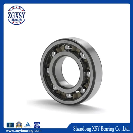 Single Row 6013-Zz/6013-2RS Deep Groove Ball Bearing