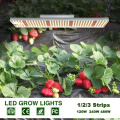 LED Grow Light 120W