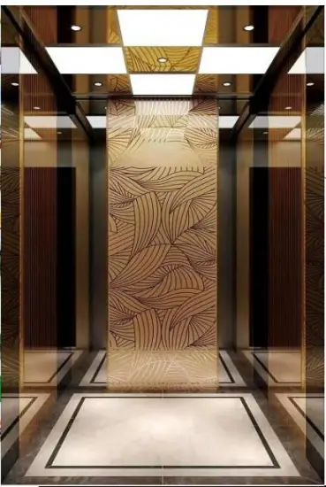 450kg Good Quality Residential Elevator Lift