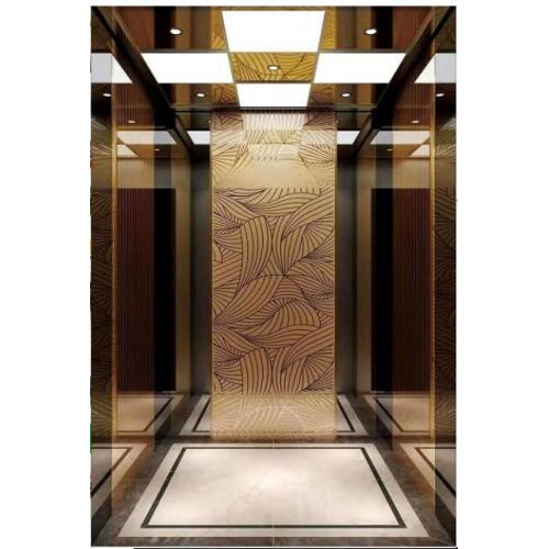 450kg Good Quality Residential Elevator Lift