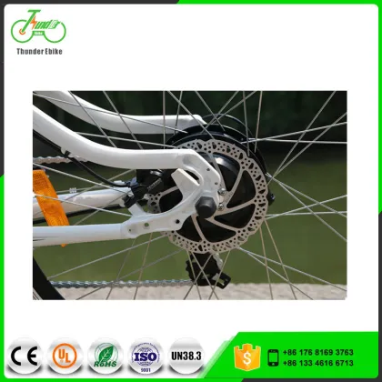 Electric Mountain Bikes with 250W-8Fun Brand Motor