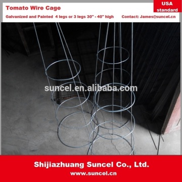 Galvanized and Painted Tomato Wire Cage