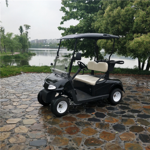 Carro de golf de gas de 300 cc de dos plazas de buena calidad