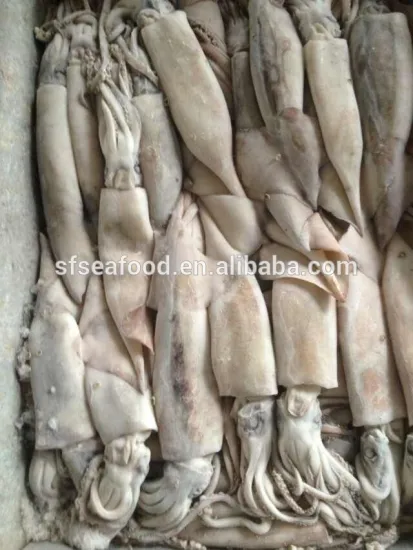 100-200g Frozen Japanese Squid