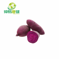 Water Soluble Natural Purple Sweet Potato Powder