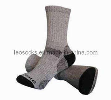 High Quality Coolmax Socks (DL-MS-04)