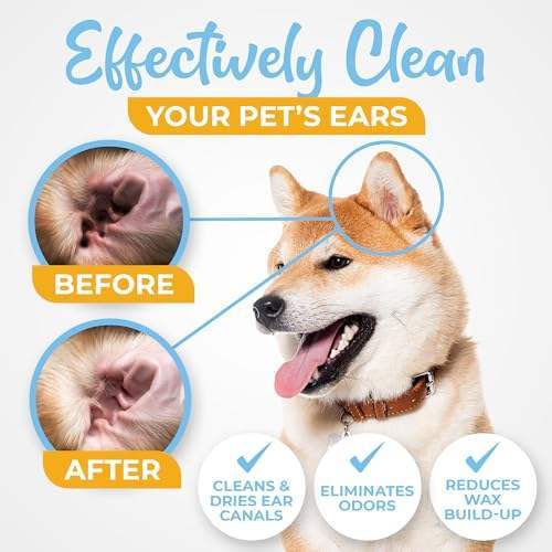 Khăn lau tùy chỉnh cho răng chó và mèo để loại bỏ cao răng