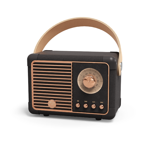 FM Radio Retro Bluetooth Speaker with Old Fashioned