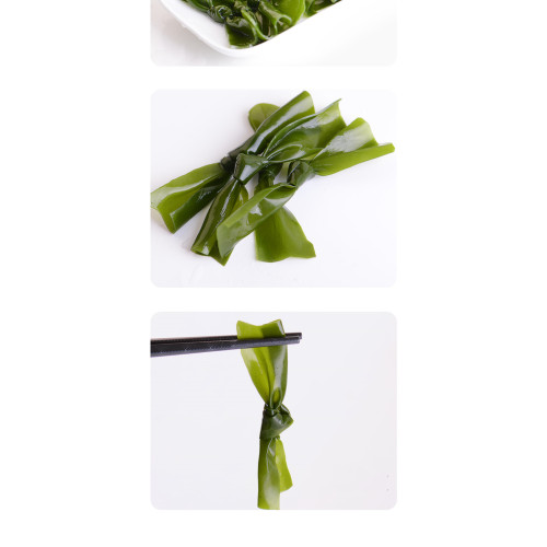 Factory good quality Seaweed Laminaria Knots