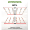 /msite/products/detail/productid/61947568/id/684610.html