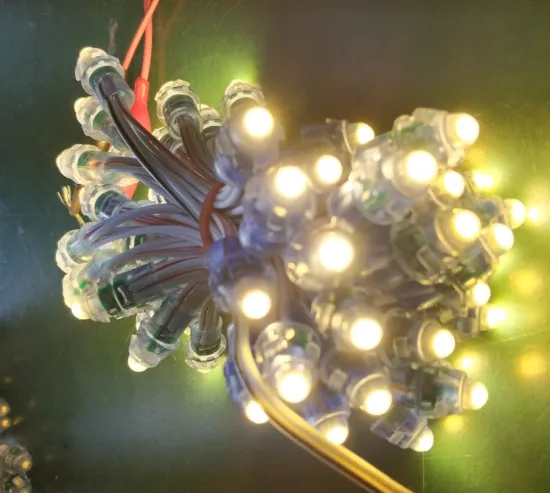 50pcs WS2811 RGB Full Color IP68 Waterproof LED Pixels Module