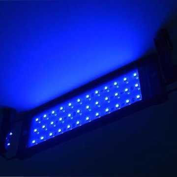 Akvaryum için ayarlanabilir braket tam spektrum LED ışığı