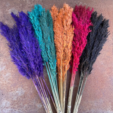 Free Sample Factory Supply Pampas Grass Dried Flowers Bouquet for BOHO Party Wedding Decor