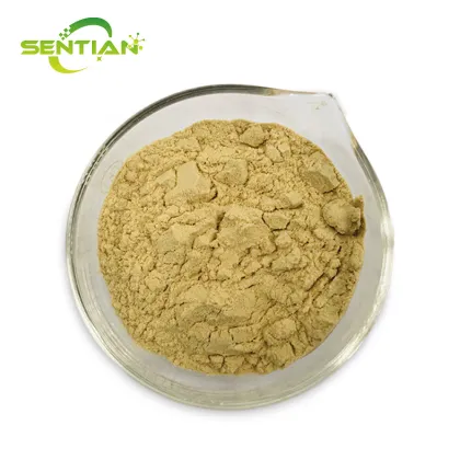 Premium Astragalus Root Extract