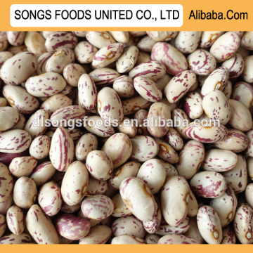 Kidney beans specification