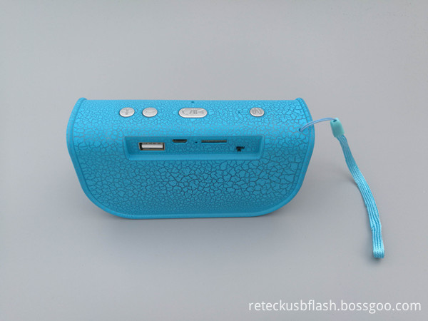 Bluetooth Portable Speaker