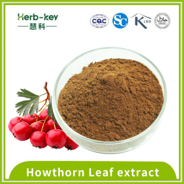 Hawthorn -Blatt -Extraktpulver mit 10% Flavonoiden enthält