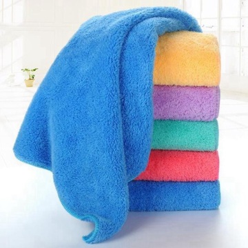Microfiber Coral Fleece Wash Cloth