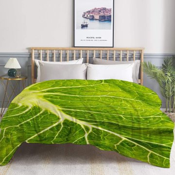 Cute and Comfy: 3D Printed Fruits & Veggie Shaped Blankets, Including a cabbage-shaped summer quilt for beds