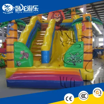 indoor inflatable slides for kids, inflatable bouncer slide combo