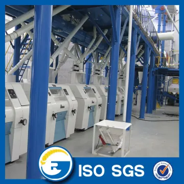 Maize Flour Milling Production Line