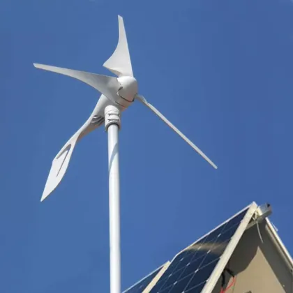 Wholesale 400W Home Wind Turbine Wind Power Generation System