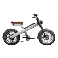 Electric Bicycle H2